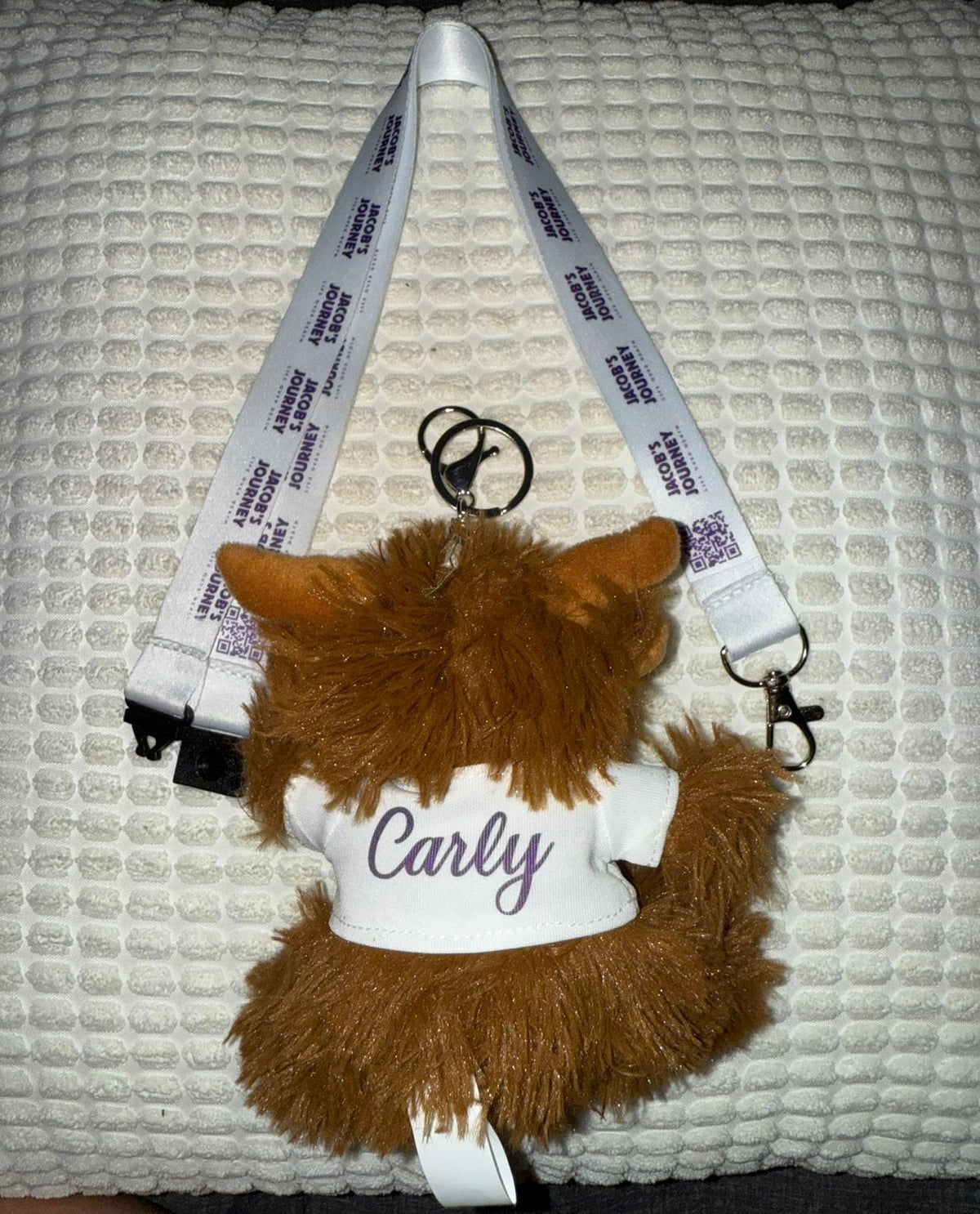 Jacob’s Journey lanyard & Highland cow set