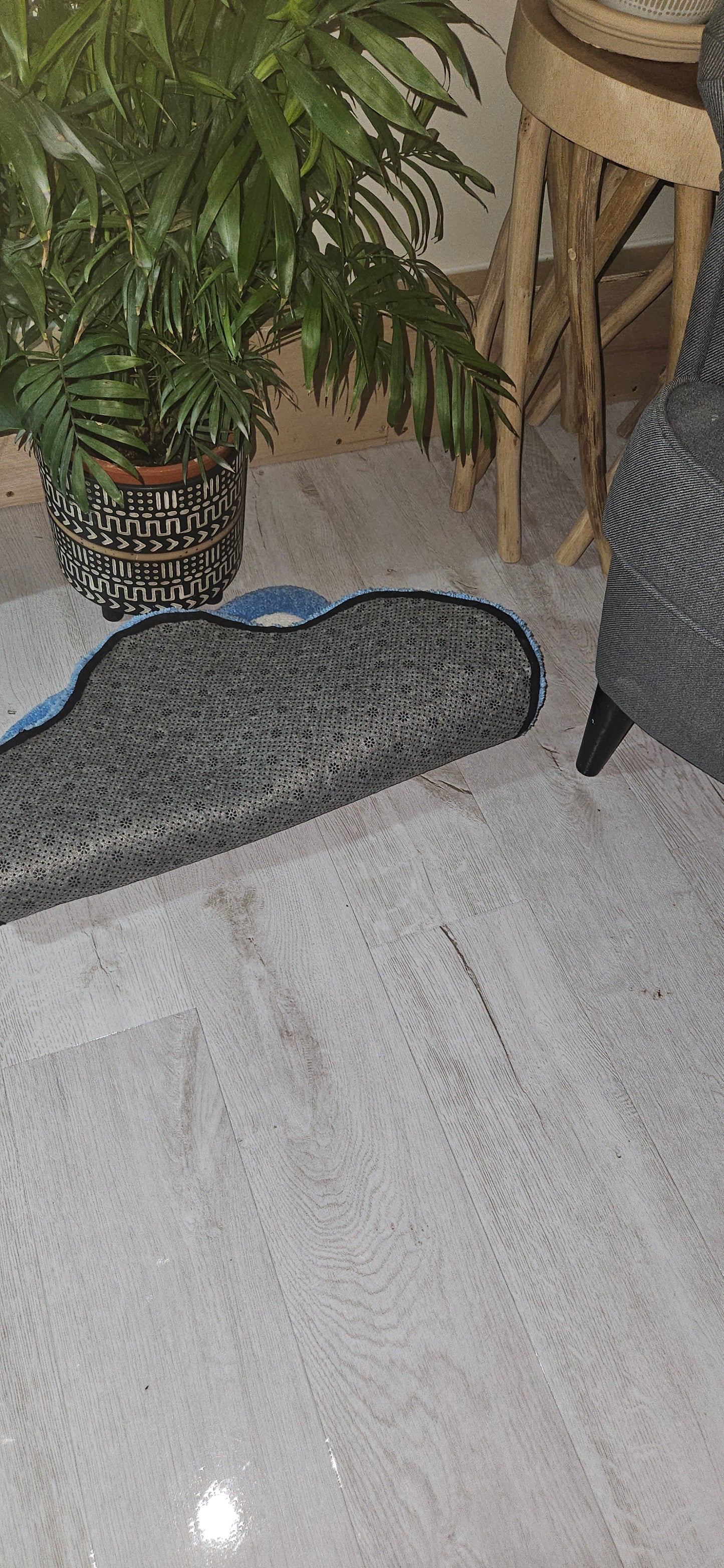 PAW RUG RAFFLE