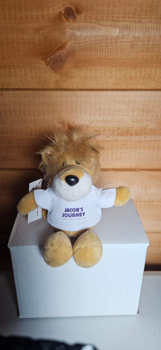 Jacob’s Journey Personalised Plush teddy keyring