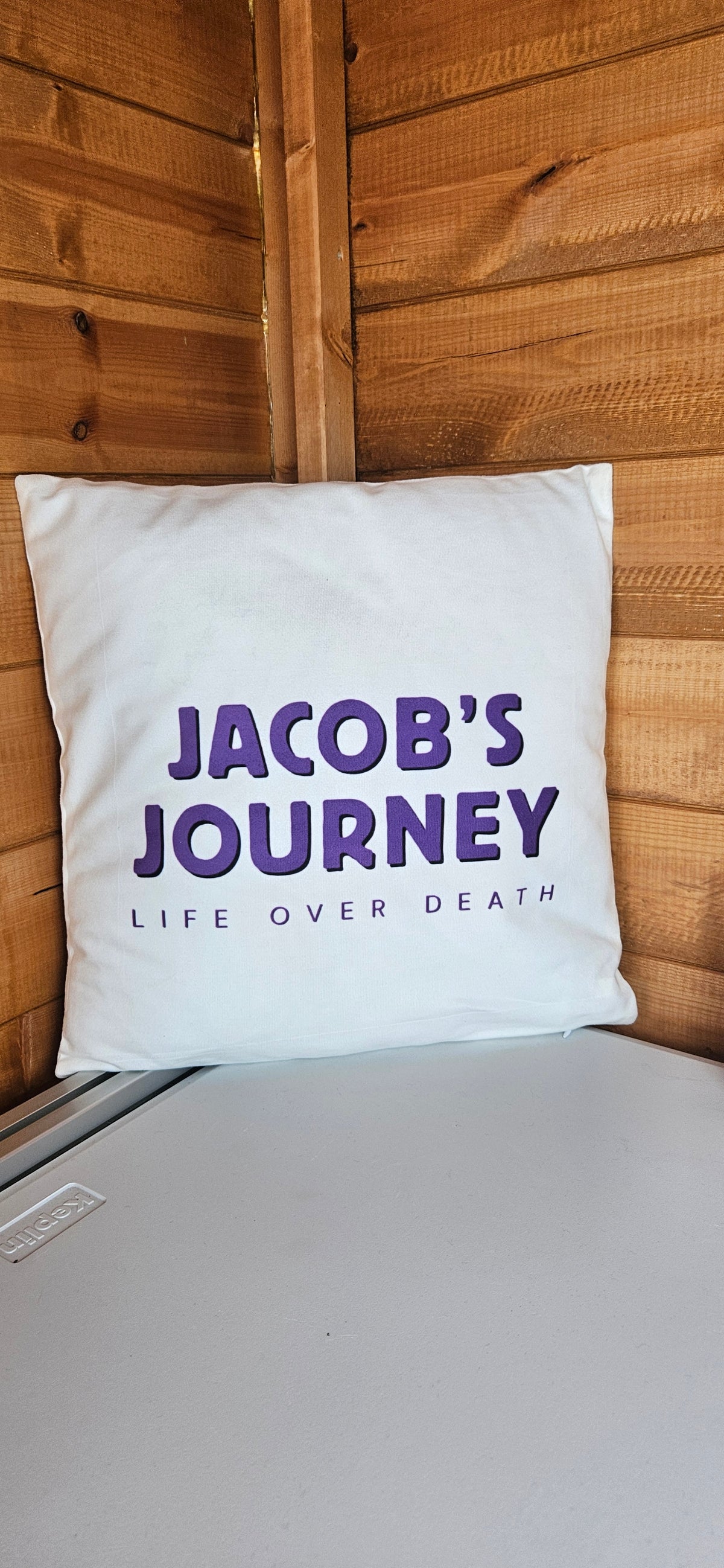 Jacob’s Journey Cushion cover