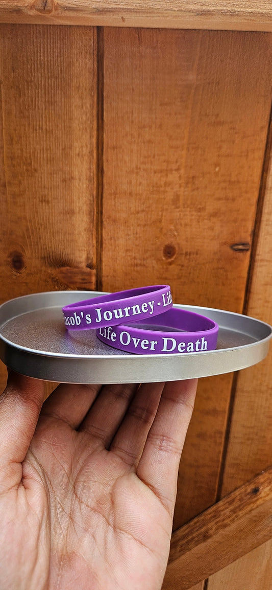 Jacob’s Journey band