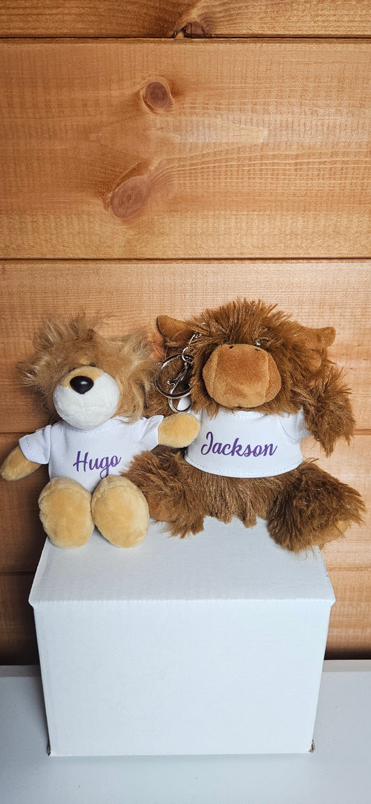 Personalised Plush teddy keyring with Tshirt