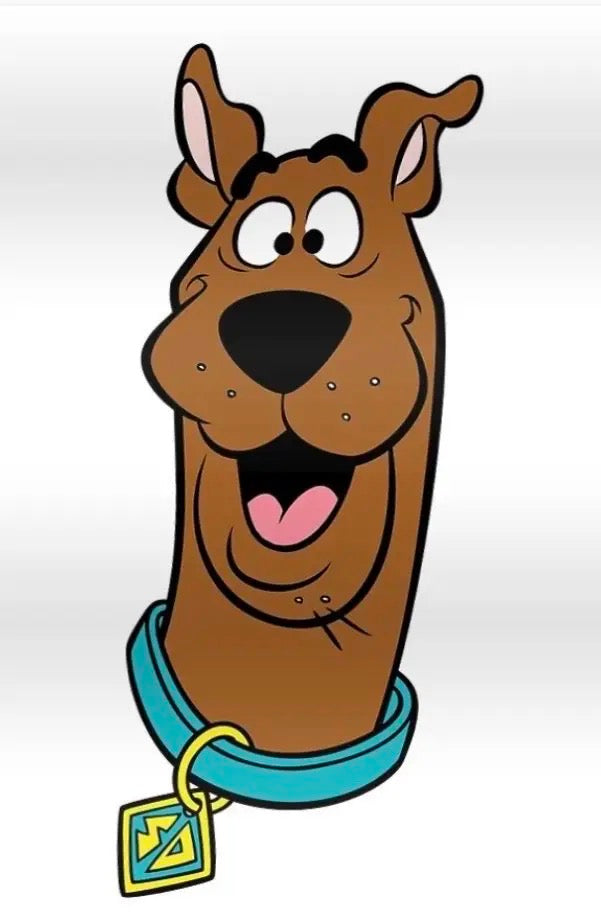 Custom Scooby doo rug