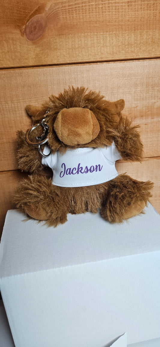 Personalised Plush teddy keyring with Tshirt