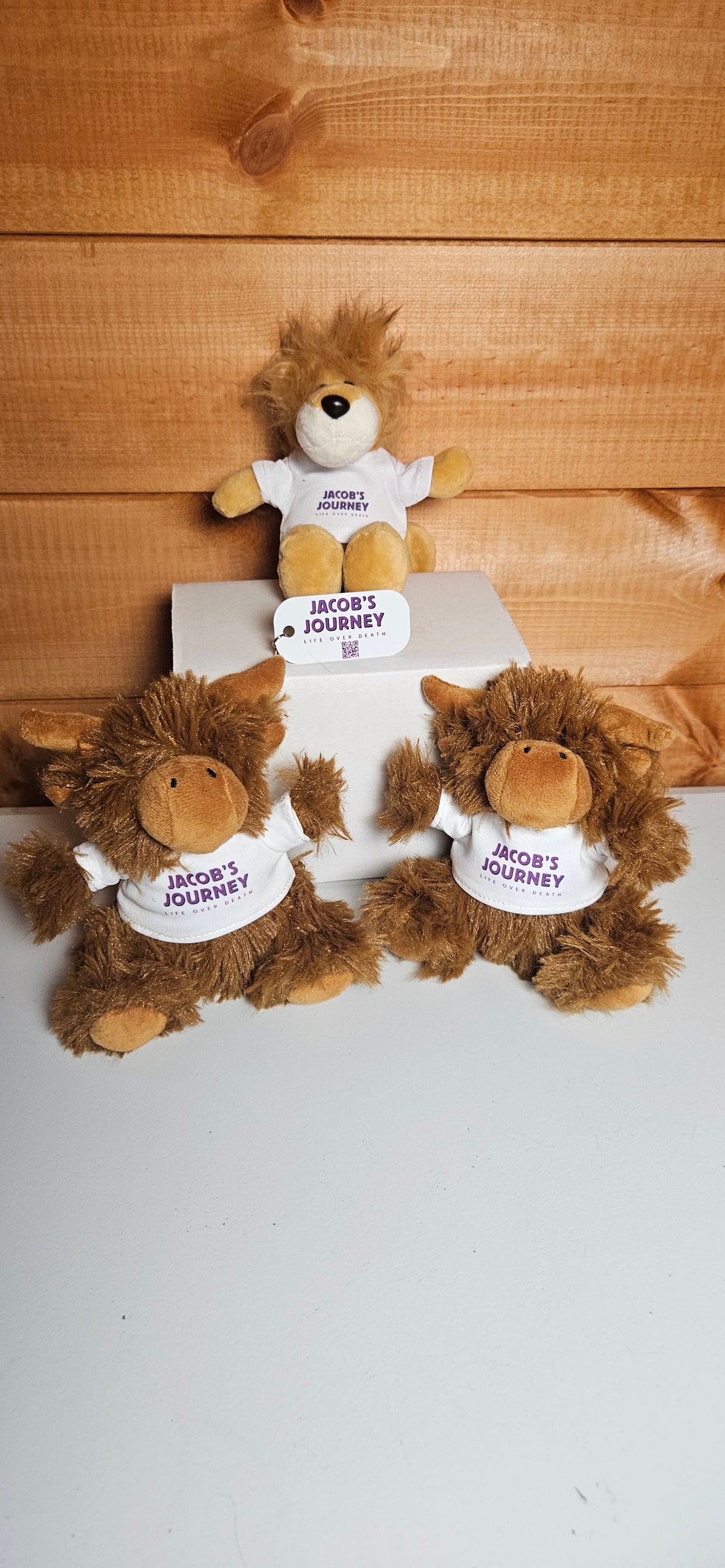 Jacob’s Journey Personalised Plush teddy keyring