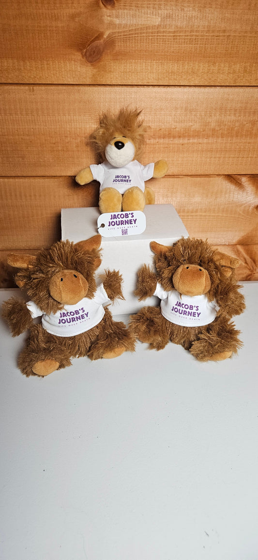 Jacob’s Journey Personalised Plush teddy keyring